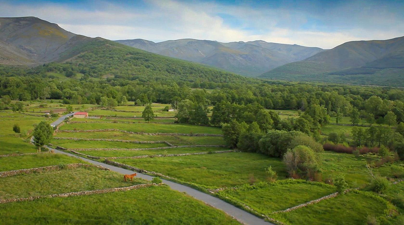 Remanso De Gredos Guest House Navalonguilla Eksteriør bilde